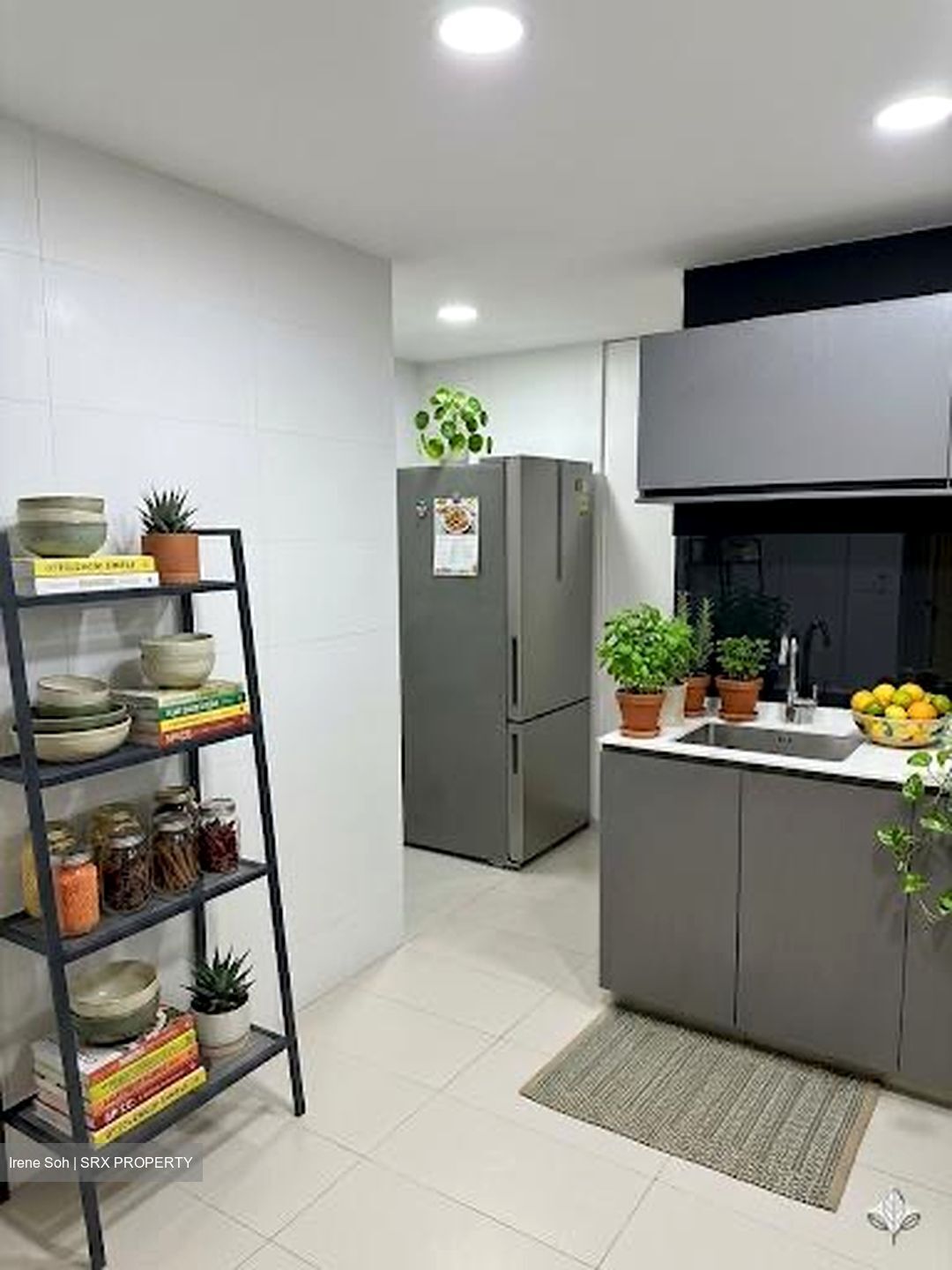 Ecopolitan (D19), Condominium #562019091